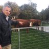 Allan Reid's profile picture
