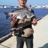°・🐠てるやん🐠's profile picture
