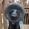 sem's profile picture