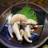 thesevensea1126 的头像