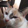 Oldladyrants profil fotoğrafı