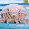 Фото профиля squidpizza