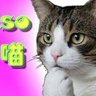 Profilbild von 夜行猫