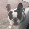 Reactor's profile picture