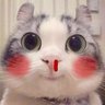 Profilbild von 被窝探险家
