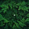 Фото профиля willsmith
