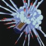 Фото профиля きょう