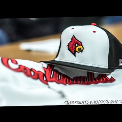 Mineral Area Baseball's profile picture