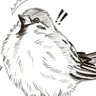 DreamScream's profile picture