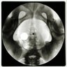 DoctorDunno's profile picture