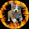 Profilbild von AJH
