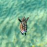 Фото профиля タルタルソースは多めで