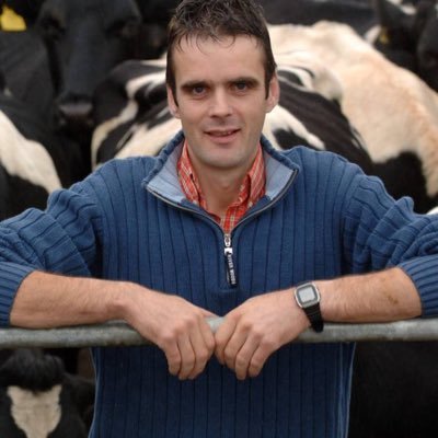 Joe Healy's profile picture