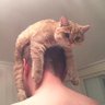 Amit profil fotoğrafı