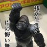 Profilbild von ｯｿｹﾞｰｯｿｹﾞｰ