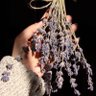 Фото профиля Fatima