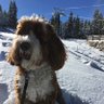 Frank's profile picture