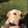Tony's profile picture