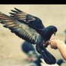 smad profil fotoğrafı