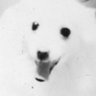 Profilbild von ãªããã«