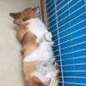 cheng 的头像