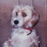 Manoli pm52 profil fotoğrafı