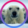 Coeur d'anartichaut's profile picture