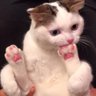 khartas94's profile picture