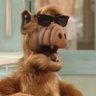 alf o eteimoso 的头像