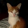 Profilbild von Kelly