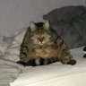 Jurajerem's profile picture