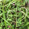 Фото профиля 虛幻飄渺