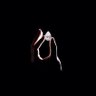 Profilbild von innocence alarab