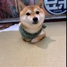杨晨's profile picture