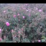 Фото профиля الوليد