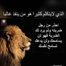 المدينة النبوية 的头像