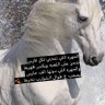 بنت للدواسر👍🏻's profile picture