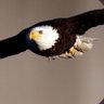 Henry profil fotoğrafı