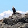 wmoon profil fotoğrafı