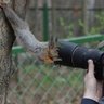 Фото профиля コインいっこいれる