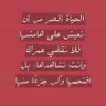 Фото профиля احمد السلامي النيادي