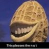 Фото профиля please the nutttt