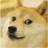 rebort L's profile picture