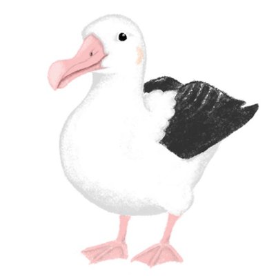 南半球アホウドリ物語's profile picture