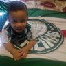 palmeiras 100%🐷 profil fotoğrafı