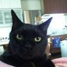 椎名 修's profile picture