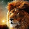 Фото профиля Domen J