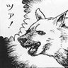 Фото профиля RTなツァ犬。