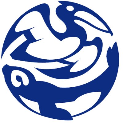 BonnConvention's profile picture