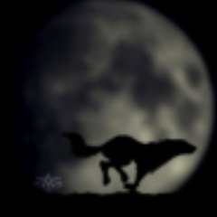 Serg's profile picture